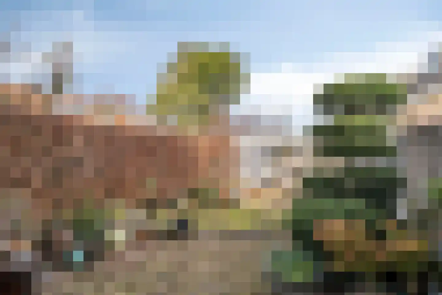 Alard du Hamelstraat 24 Eindhoven thumbnail 30