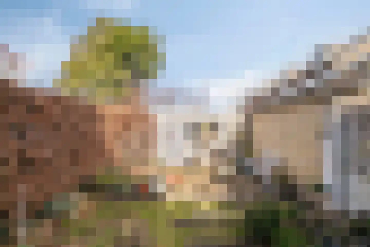 Alard du Hamelstraat 24 Eindhoven thumbnail 32
