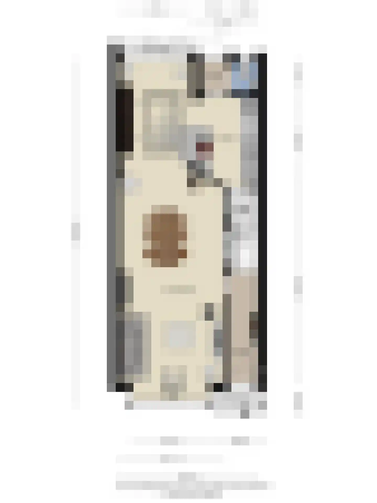 Alard du Hamelstraat 24 Eindhoven thumbnail 39