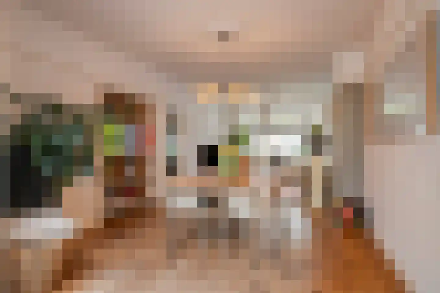 Alard du Hamelstraat 24 Eindhoven thumbnail 8
