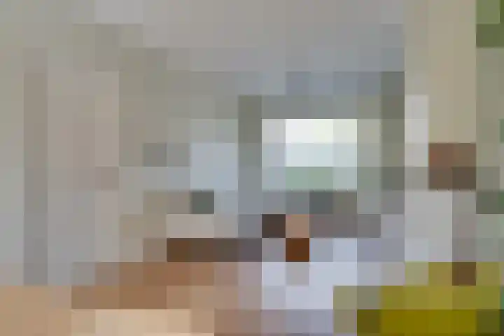 Alard du Hamelstraat 37 Eindhoven thumbnail 17