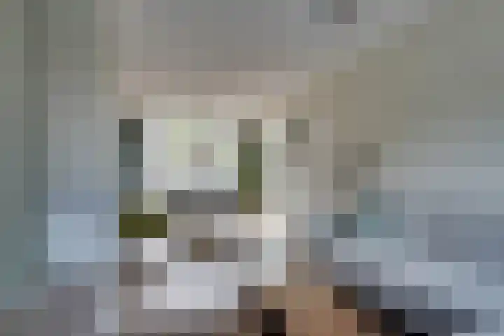 Alard du Hamelstraat 37 Eindhoven thumbnail 18