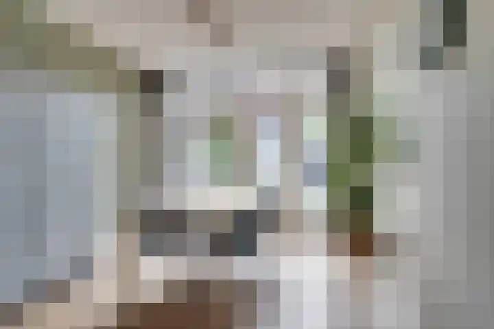 Alard du Hamelstraat 37 Eindhoven thumbnail 20