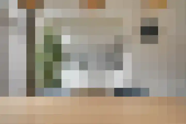 Alard du Hamelstraat 37 Eindhoven thumbnail 21