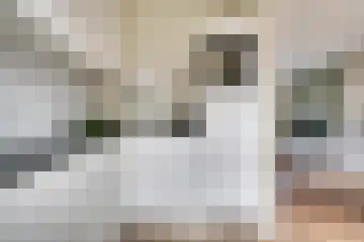 Alard du Hamelstraat 37 Eindhoven thumbnail 24
