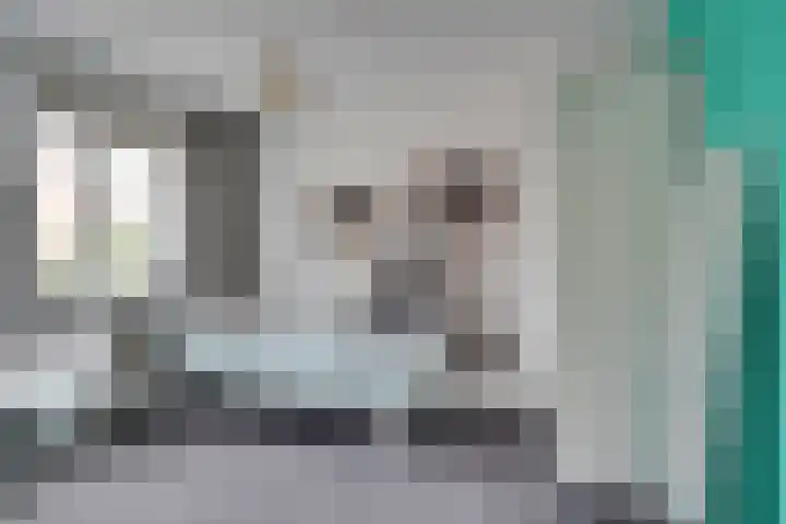 Alard du Hamelstraat 37 Eindhoven thumbnail 31