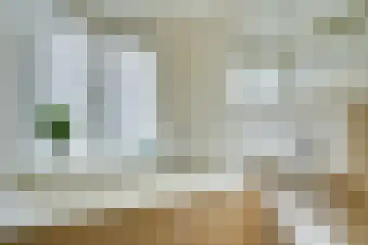 Alard du Hamelstraat 37 Eindhoven thumbnail 38