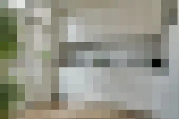 Alard du Hamelstraat 37 Eindhoven thumbnail 4