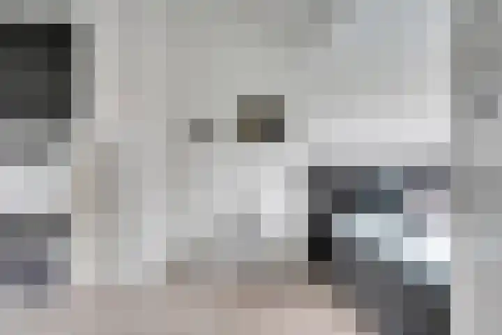 Alard du Hamelstraat 37 Eindhoven thumbnail 42