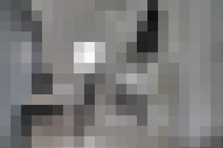 Alard du Hamelstraat 37 Eindhoven thumbnail 43