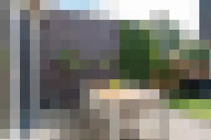 Alard du Hamelstraat 37 Eindhoven thumbnail 45