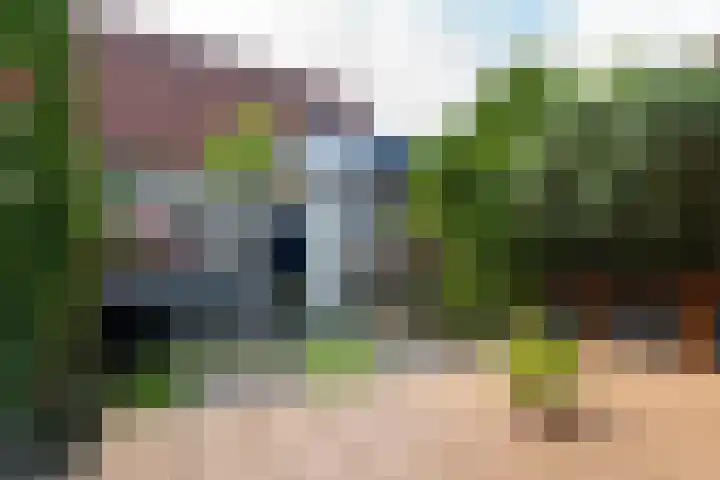 Alard du Hamelstraat 37 Eindhoven thumbnail 46