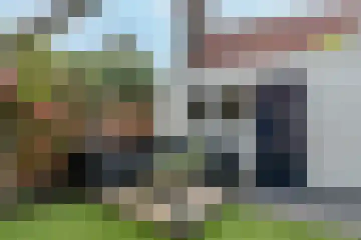 Alard du Hamelstraat 37 Eindhoven thumbnail 48