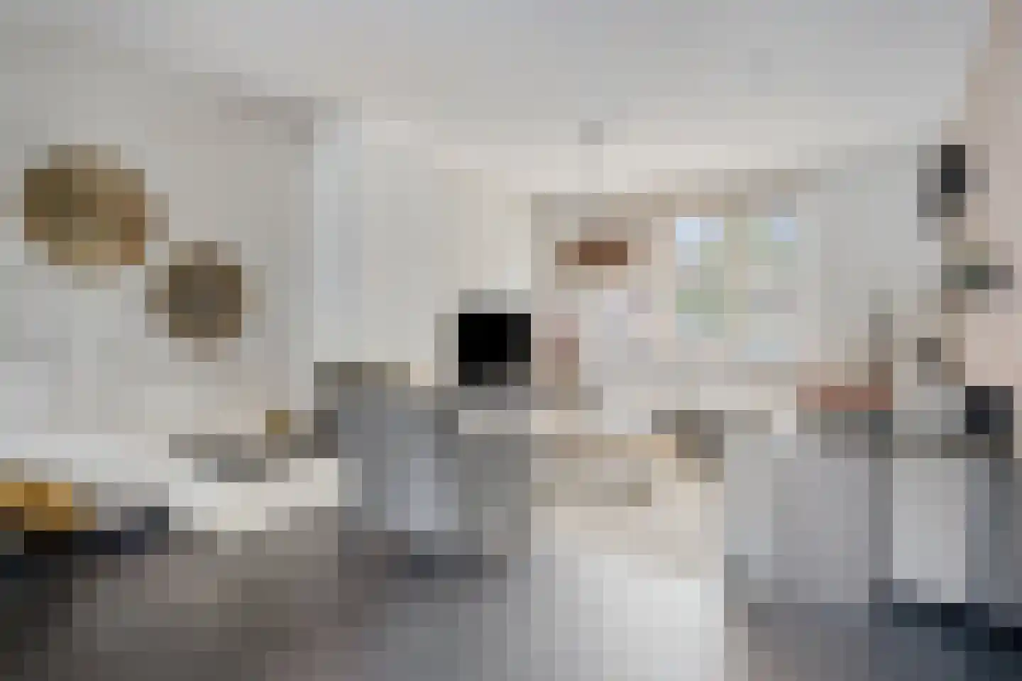 Alard du Hamelstraat 48 Eindhoven thumbnail 10