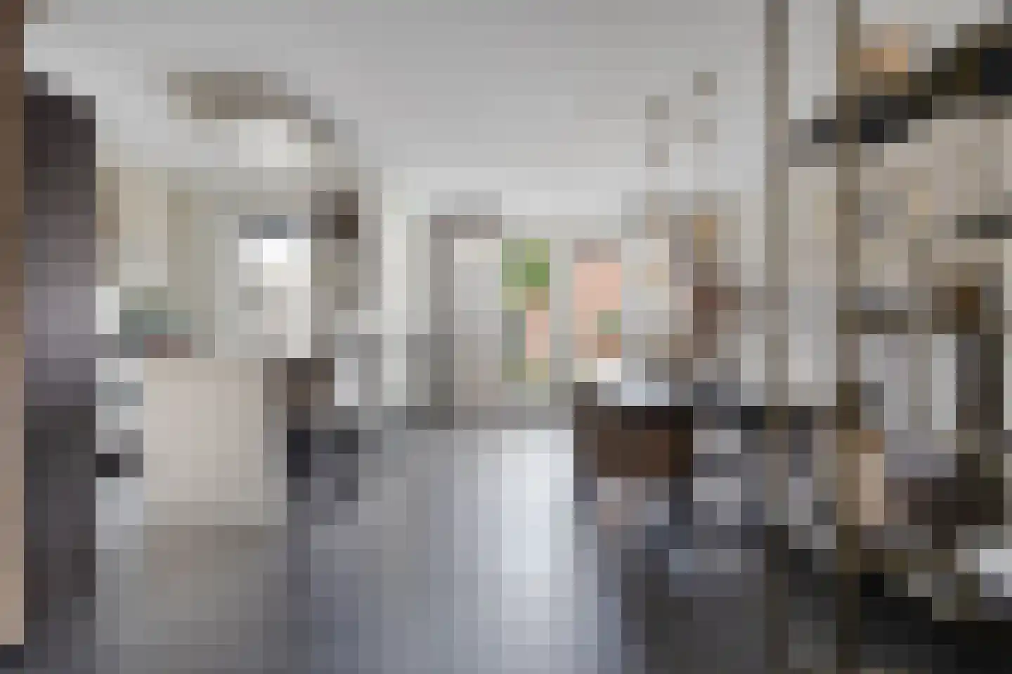 Alard du Hamelstraat 48 Eindhoven thumbnail 11