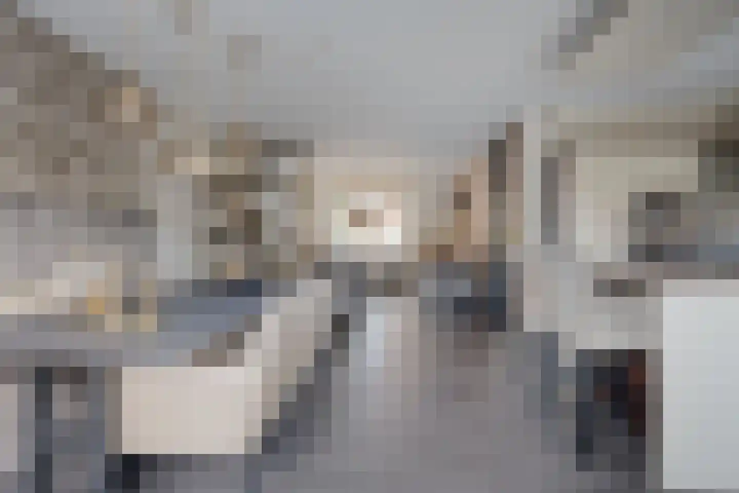Alard du Hamelstraat 48 Eindhoven thumbnail 13