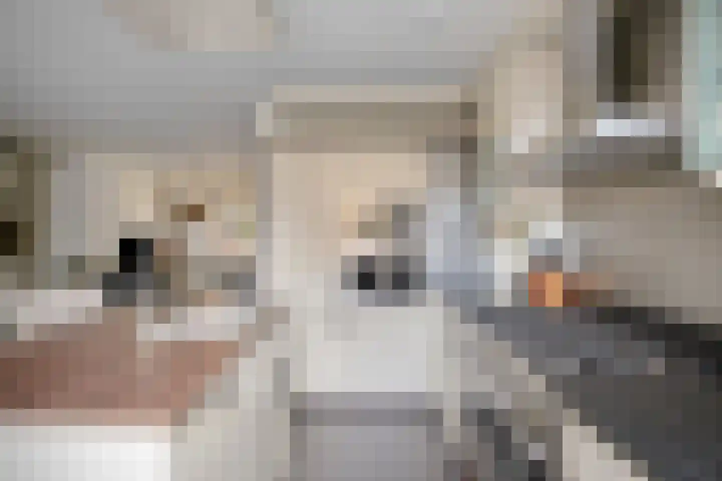 Alard du Hamelstraat 48 Eindhoven thumbnail 15