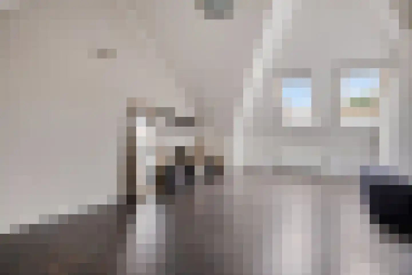 Alard du Hamelstraat 48 Eindhoven thumbnail 26