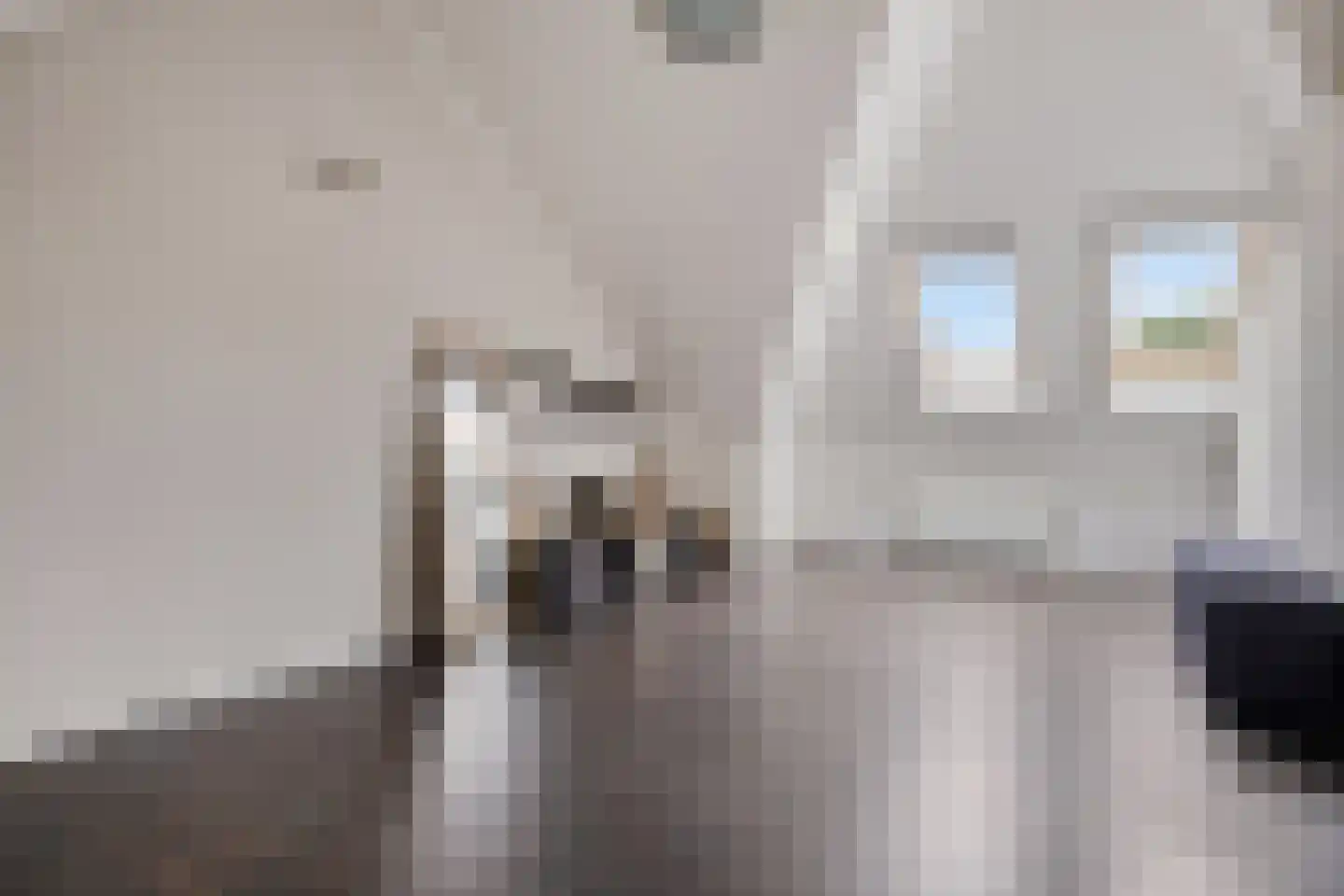 Alard du Hamelstraat 48 Eindhoven thumbnail 26
