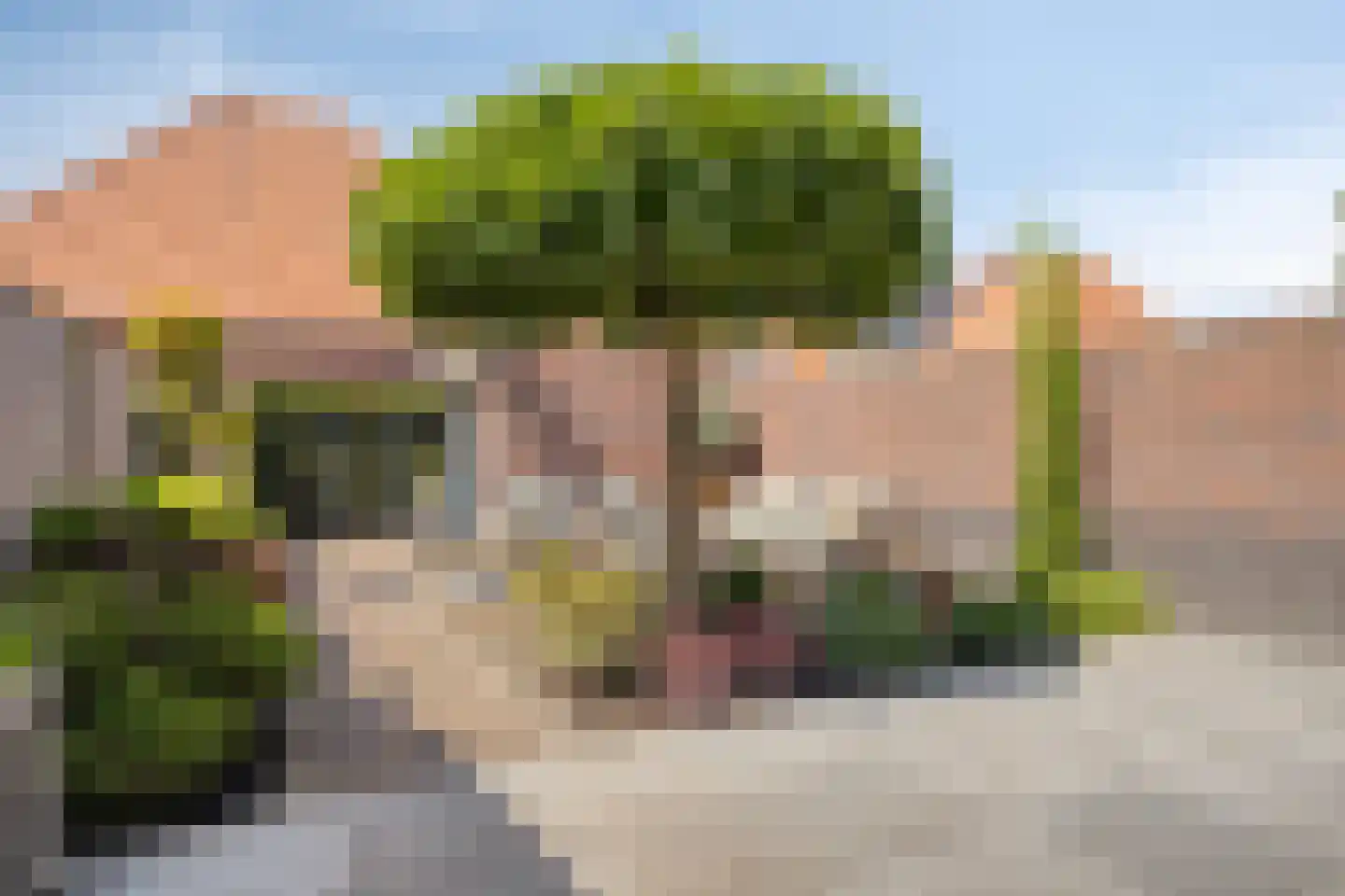 Alard du Hamelstraat 48 Eindhoven thumbnail 28