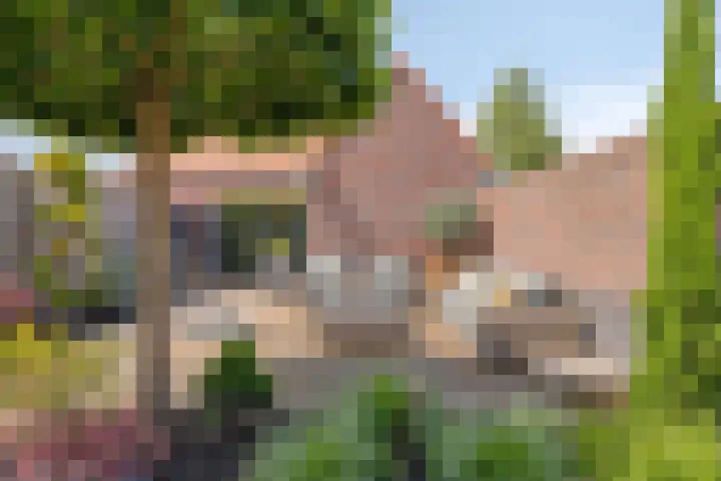 Alard du Hamelstraat 48 Eindhoven thumbnail 4
