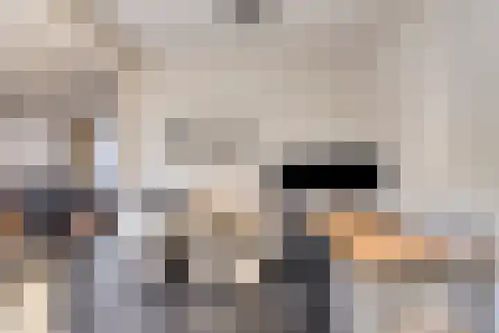 Alard van Herpenplein 2 Herpen thumbnail 12