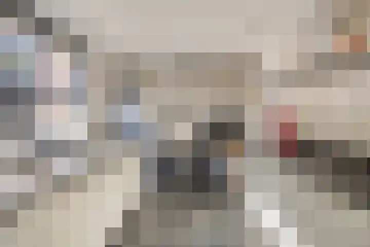 Alard van Herpenplein 2 Herpen thumbnail 13