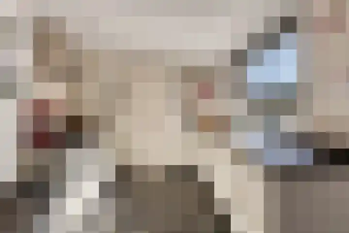 Alard van Herpenplein 2 Herpen thumbnail 15