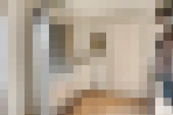 Alard van Herpenplein 2 Herpen thumbnail 17