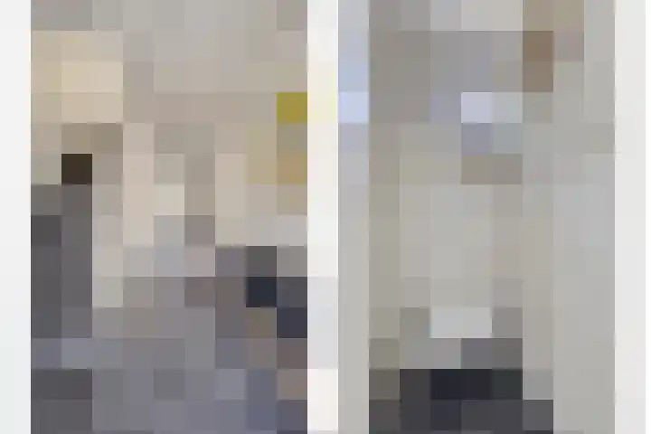 Alard van Herpenplein 2 Herpen thumbnail 19