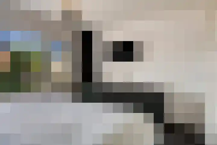 Alard van Herpenplein 2 Herpen thumbnail 21