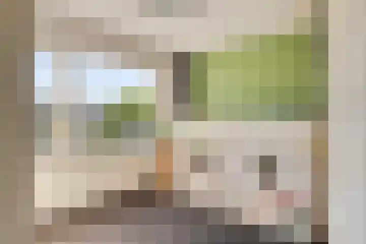 Alard van Herpenplein 2 Herpen thumbnail 22