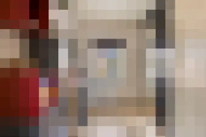 Alard van Herpenplein 2 Herpen thumbnail 23