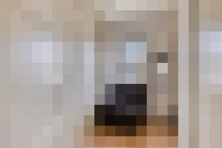 Alard van Herpenplein 2 Herpen thumbnail 24