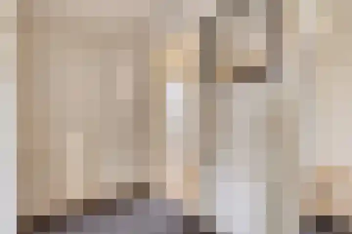 Alard van Herpenplein 2 Herpen thumbnail 25