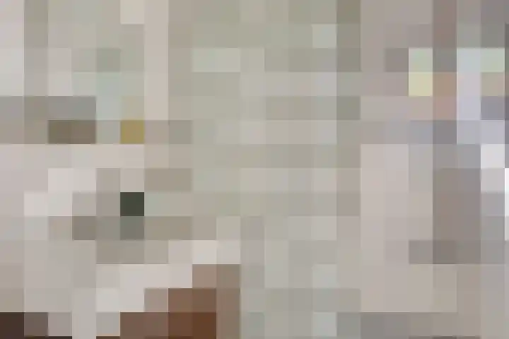 Alard van Herpenplein 2 Herpen thumbnail 26
