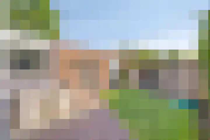 Alard van Herpenplein 2 Herpen thumbnail 29
