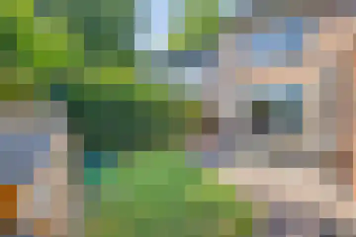 Alard van Herpenplein 2 Herpen thumbnail 31