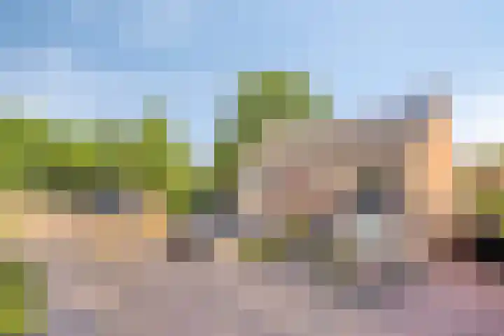 Alard van Herpenplein 2 Herpen thumbnail 33