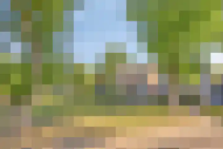 Alard van Herpenplein 2 Herpen thumbnail 34