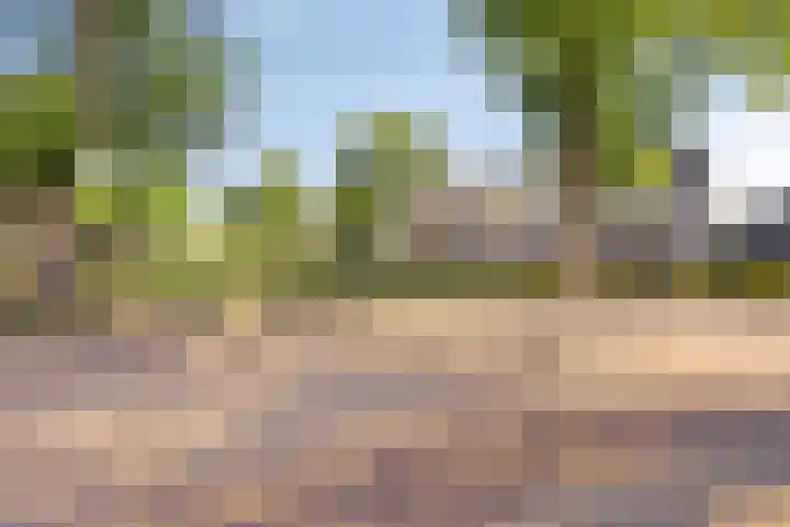 Alard van Herpenplein 2 Herpen thumbnail 35