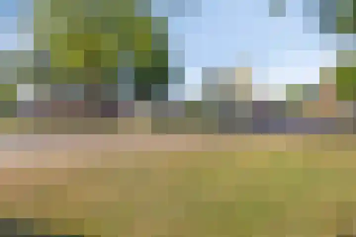 Alard van Herpenplein 2 Herpen thumbnail 36