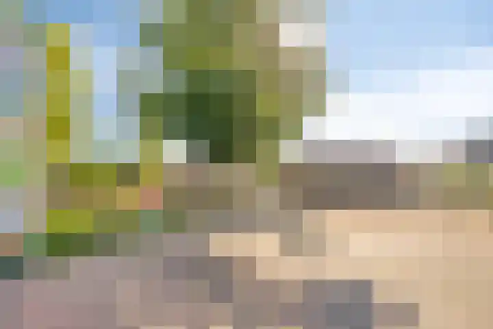 Alard van Herpenplein 2 Herpen thumbnail 39