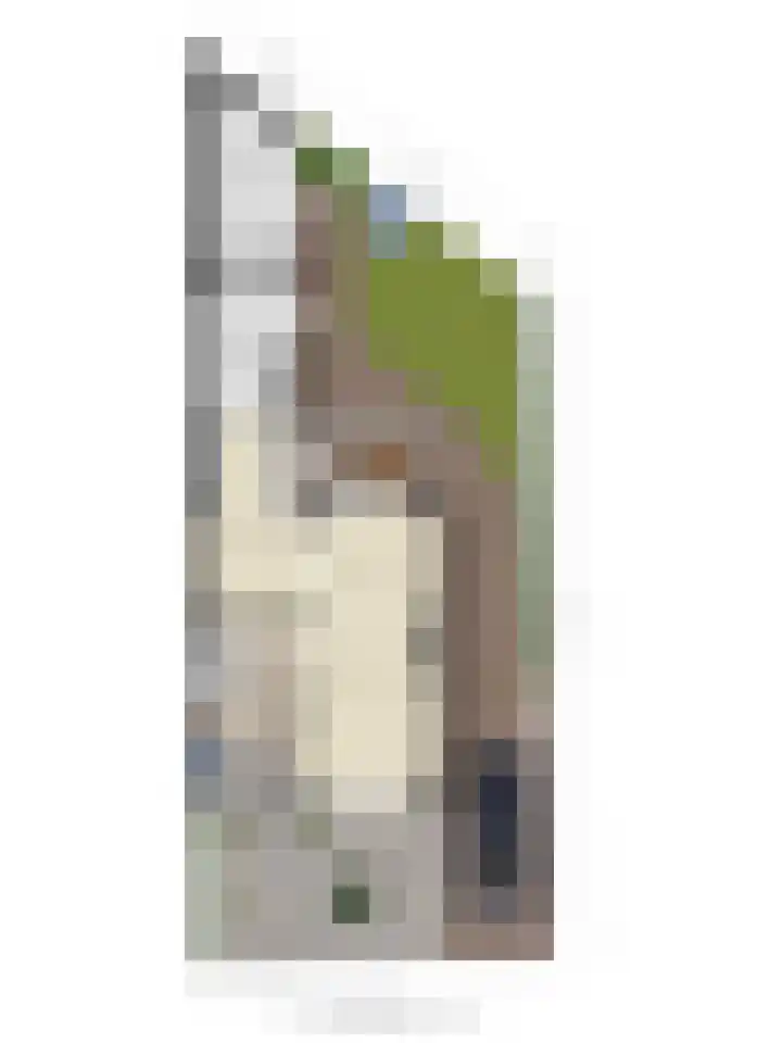 Alard van Herpenplein 2 Herpen thumbnail 40