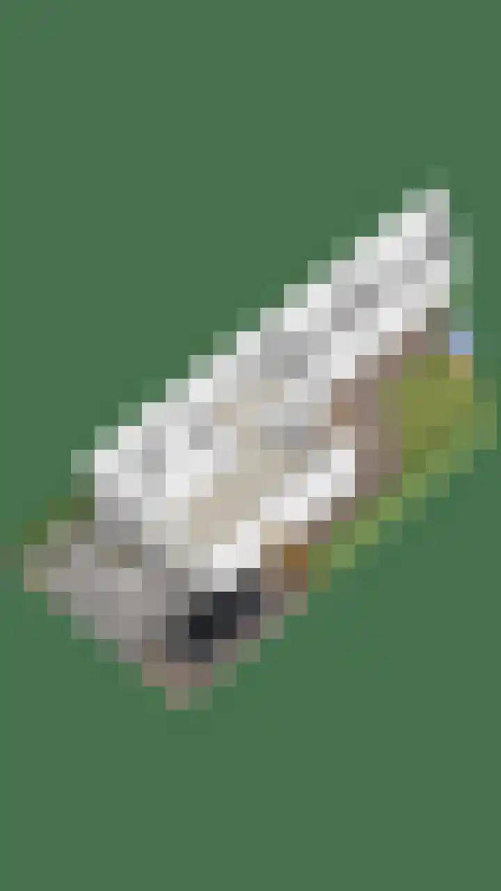 Alard van Herpenplein 2 Herpen thumbnail 41