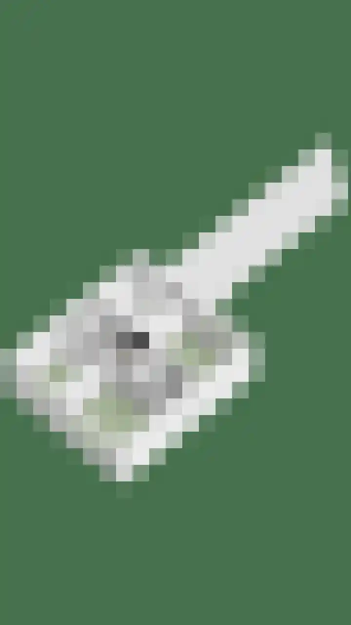 Alard van Herpenplein 2 Herpen thumbnail 45