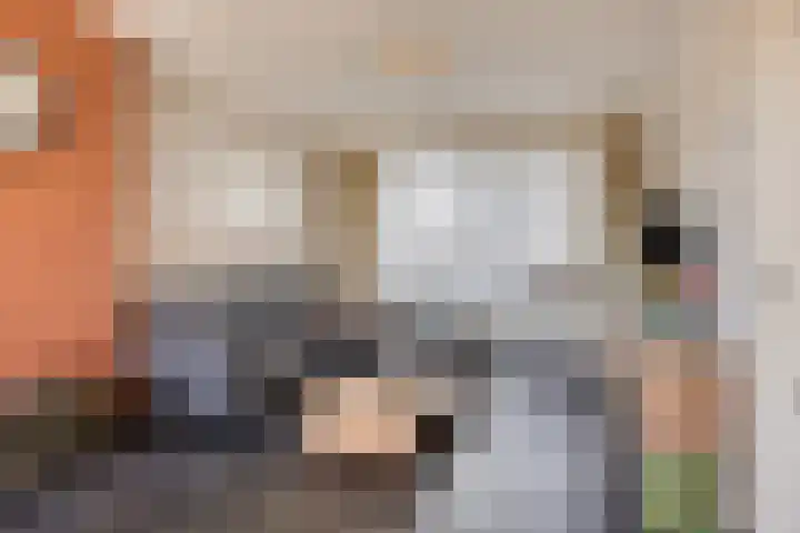 Alard van Herpenplein 2 Herpen thumbnail 6