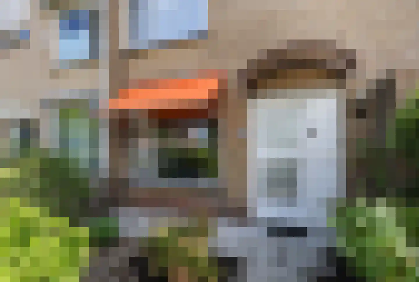 Alardusdreef 100 Rockanje thumbnail 12