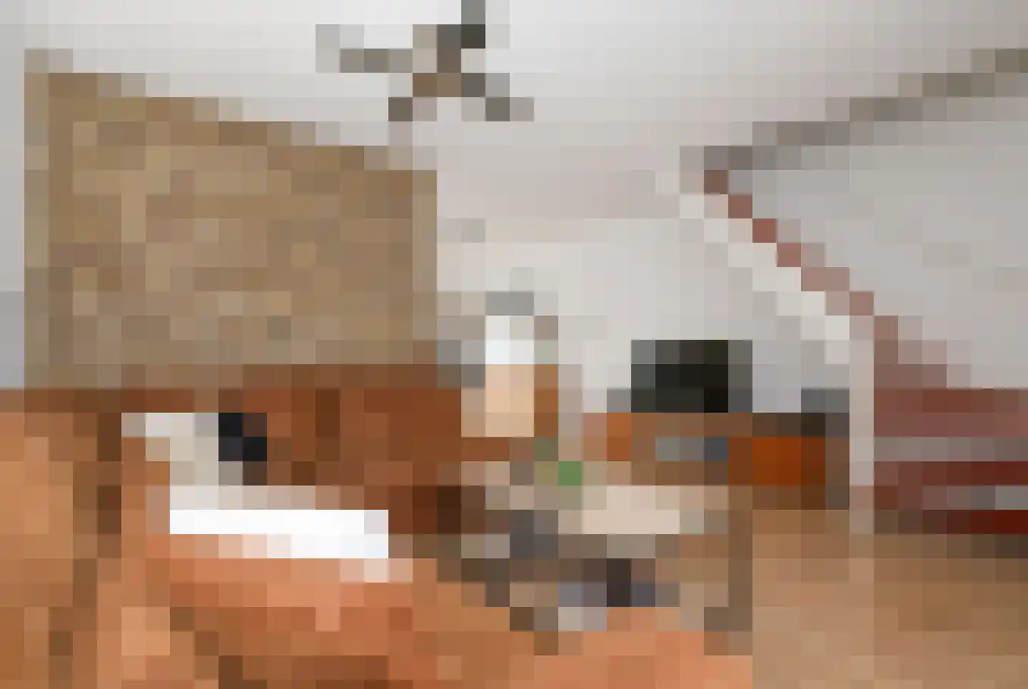 Alardusdreef 100 Rockanje thumbnail 20
