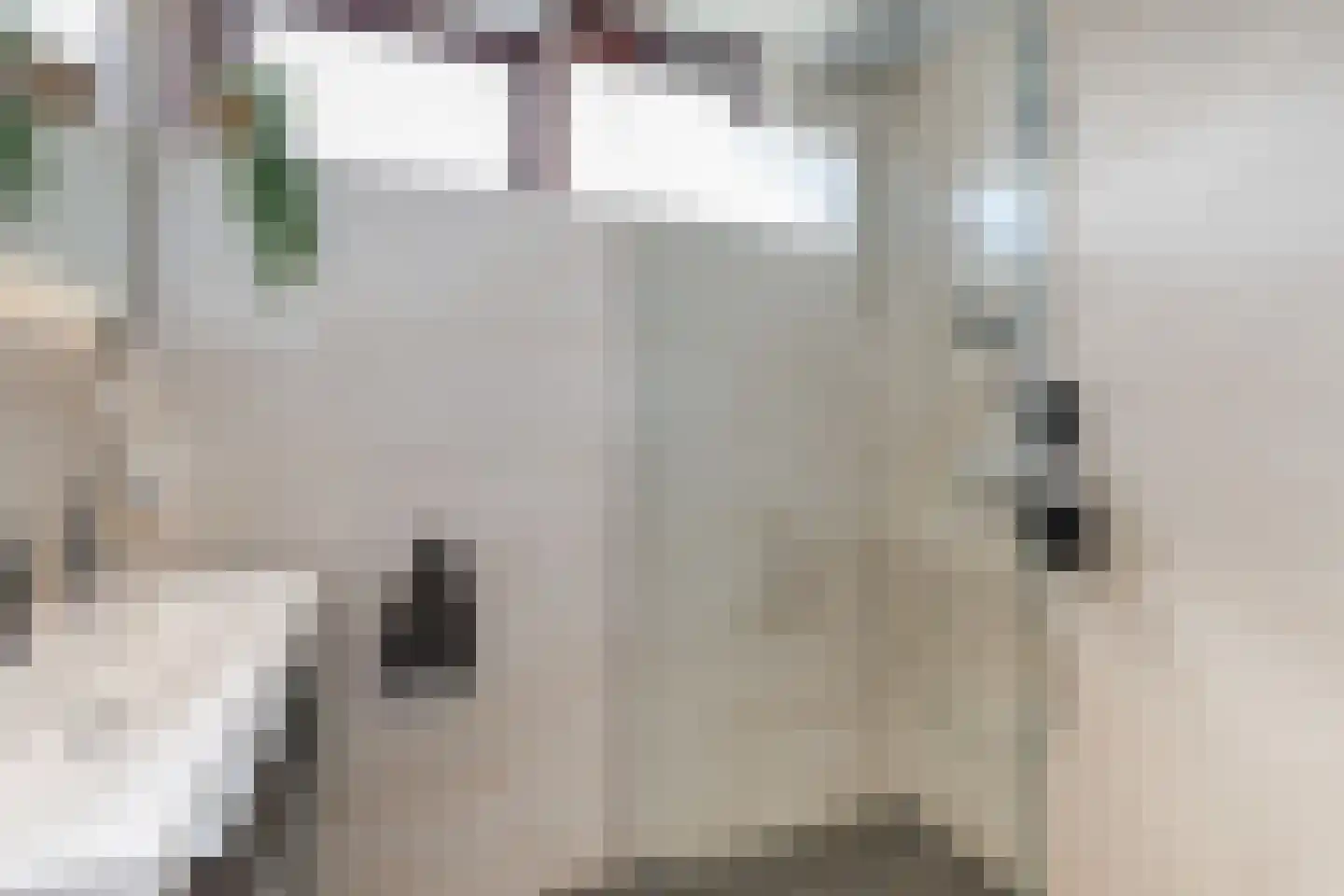 Alardusdreef 100 Rockanje thumbnail 32